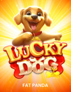 Super Ace แตกง่าย เล่นแล้วสนุก แถมมีโอกาสชนะสูง